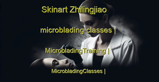Skinart Zhilingjiao microblading classes | MicrobladingTraining | MicrobladingClasses | SkinartTraining-China